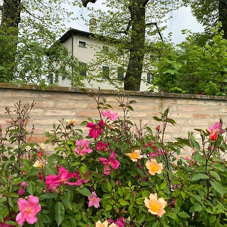 Monteborre Villa Cento  Exterior photo