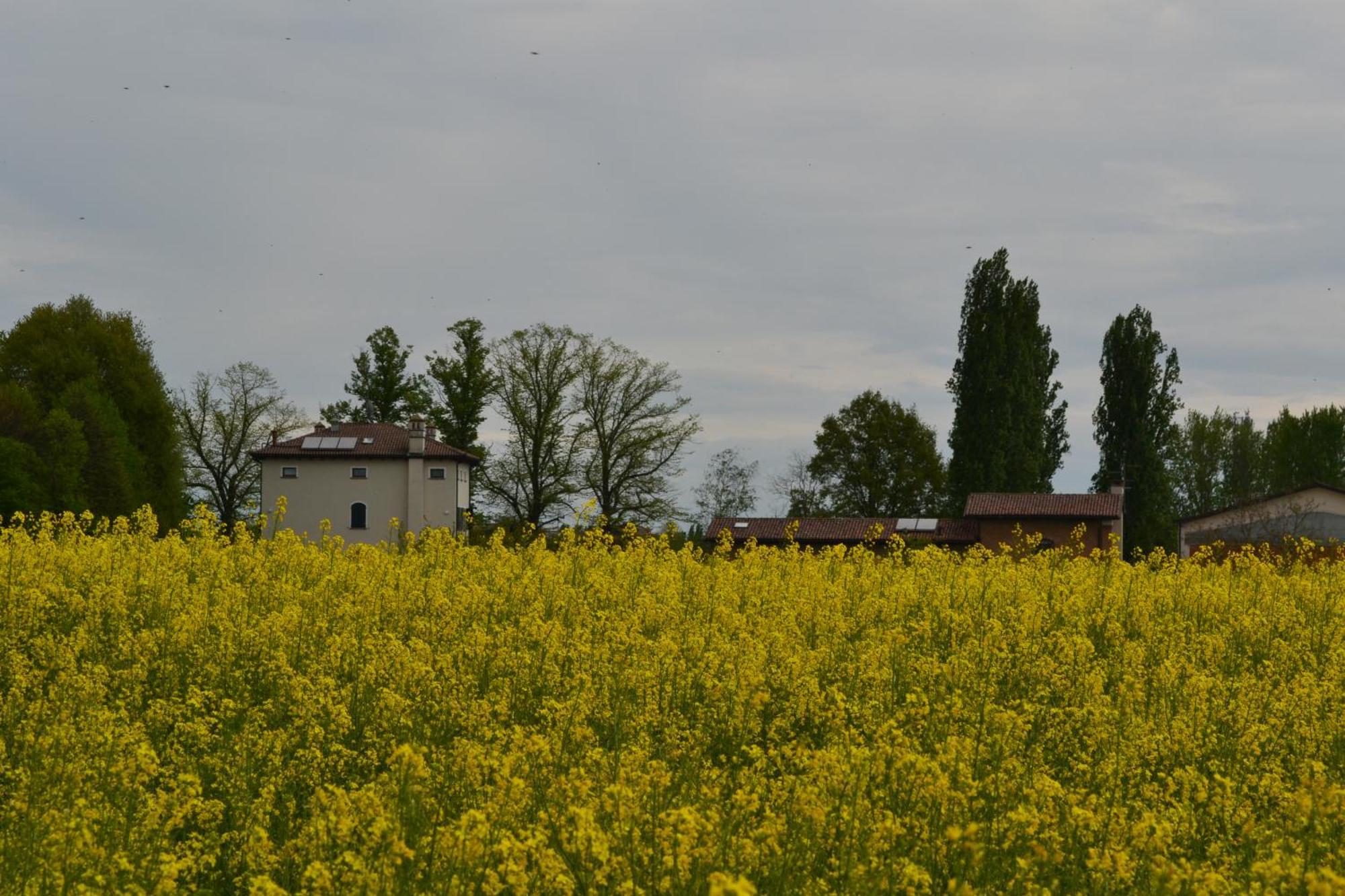 Monteborre Villa Cento  Exterior photo