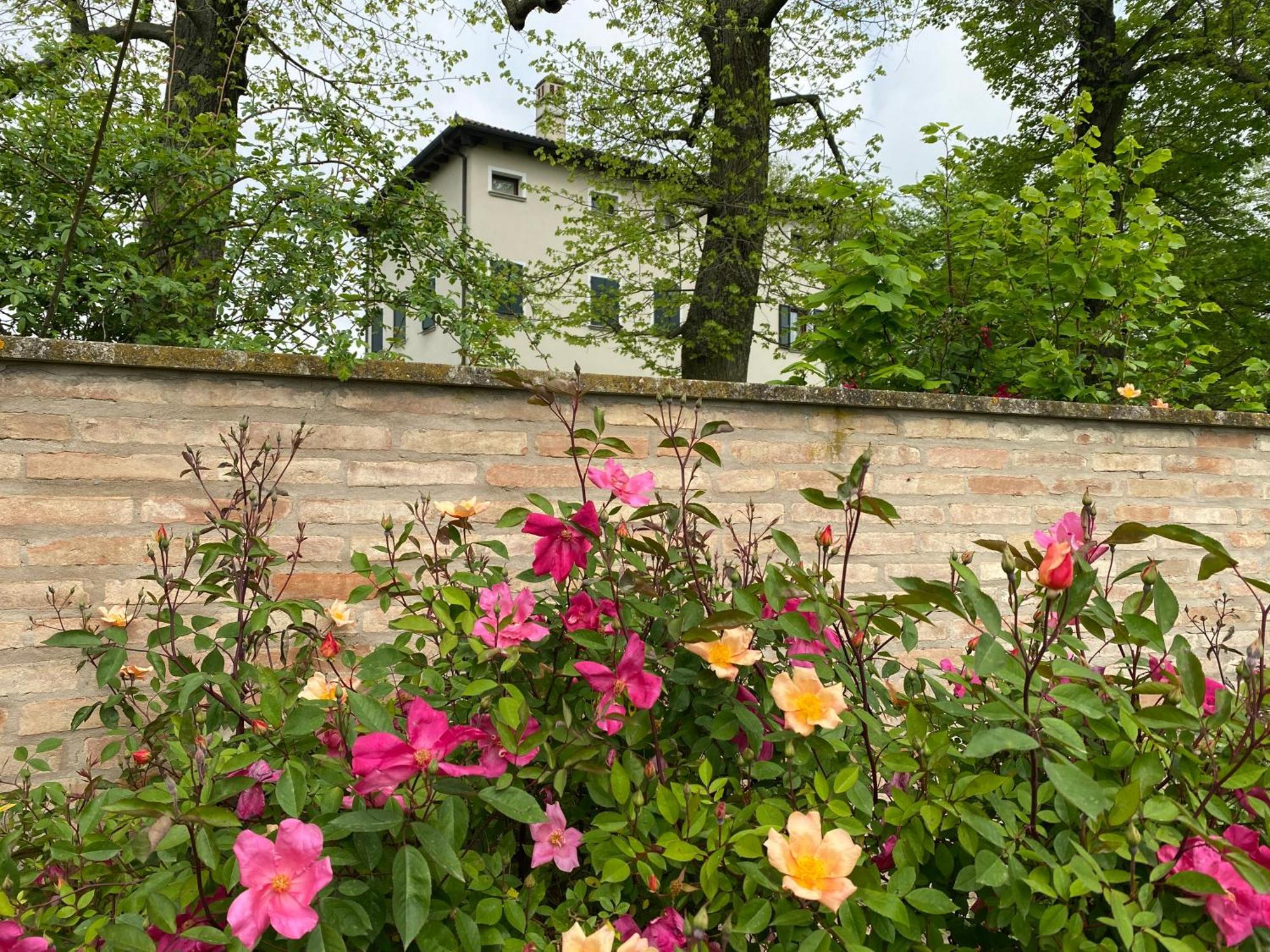 Monteborre Villa Cento  Exterior photo